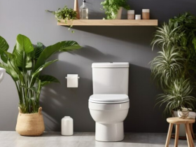 THIẾT BỊ VỆ SINH CAESAR TẠI TÂN UYÊN - BÌNH DƯƠNG