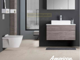 THIẾT BỊ VỆ SINH AMERICAN CHÍNH HÃNG HÀNG ĐẦU TẠI BÀU BÀNG - BÌNH DƯƠNG