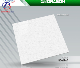 G6060-BD66267