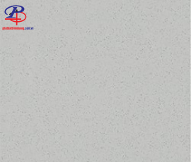 G6060-P67008N