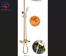 SEN CÂY NÓNG LẠNH CAO CẤP LI-9066V