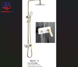 SEN CÂY NÓNG LẠNH CAO CẤP LI-9067TV