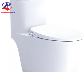 Bồn Cầu Nắp Rửa Cơ CAESAR CD1364/TAF060 1 Khối