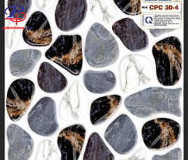 G3030-CPC304