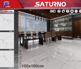 G100100-SA1064