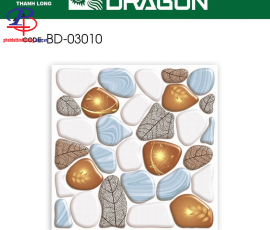 G3030-BD03010