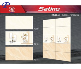 G3060-STN7209-7210-7211