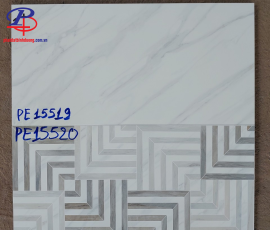 G4080-PE15519-15520