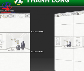 G4080-TL4700-4702 - LOẠI 2