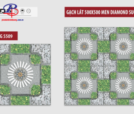 G5050-SVG5509