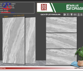 G60120-BD30801