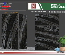 G60120-BD30802