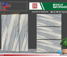 G60120-BD30804