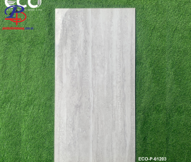G60120-HT-P61203