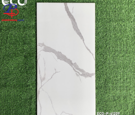 G60120-HT-P61209