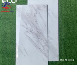 G60120-HT-P61210