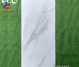 G60120-HT-P61211