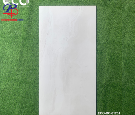G60120-HT-RC61201