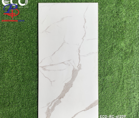 G60120-HT-RC61209