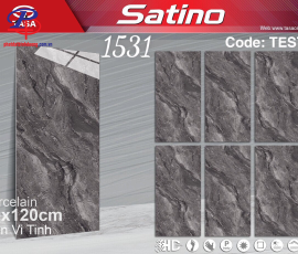 G60120-ST1531