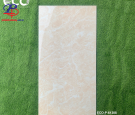 G60120-HT-P61208