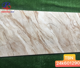 G60120-TBN6012901