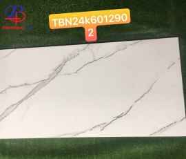 G60120-TBN6012902