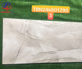 G60120-TBN6012903