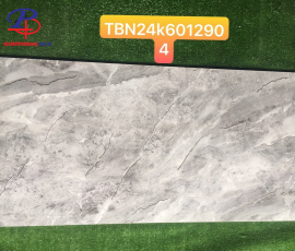 G60120-TBN6012904