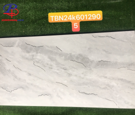 G60120-TBN6012905
