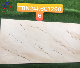 G60120-TBN6012906