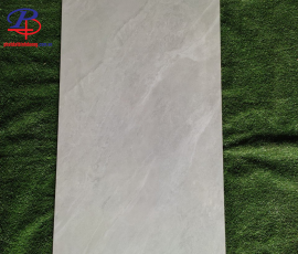 G60120-TBN61201DC