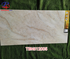 G60120-TBN61205DC