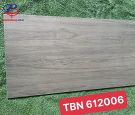 G60120-TBN61206DC