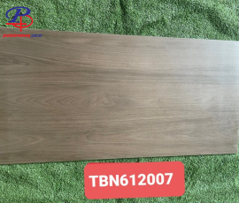 G60120-TBN61207DC