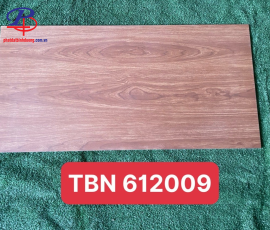 G60120-TBN612009DC