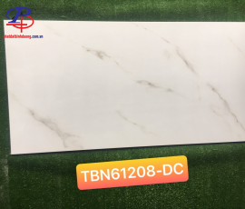 G60120-TBN61208DC
