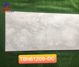 G60120-TBN61209DC