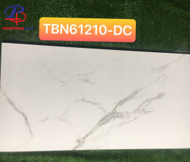 G60120-TBN61210DC