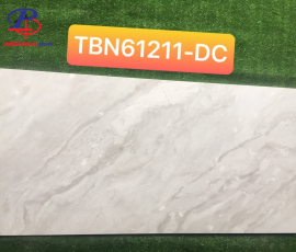 G60120-TBN61211DC