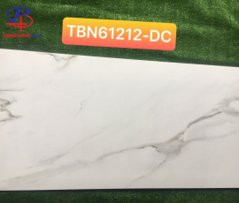 G60120-TBN61212DC