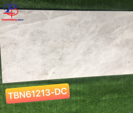 G60120-TBN61213DC