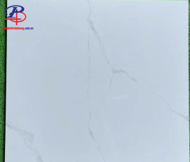 G(6060)-BD5519