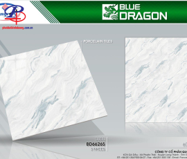 G6060-BD66265