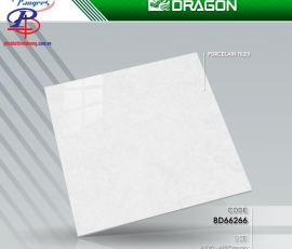 G6060-BD66266