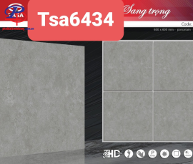 G6060-TSA6434