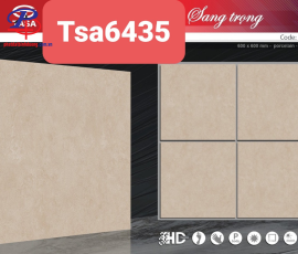 G6060-TSA6435