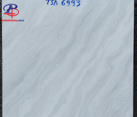 G6060-TSA6993
