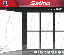G80120-STN8401