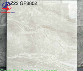 G8080-AZ22-GP8802